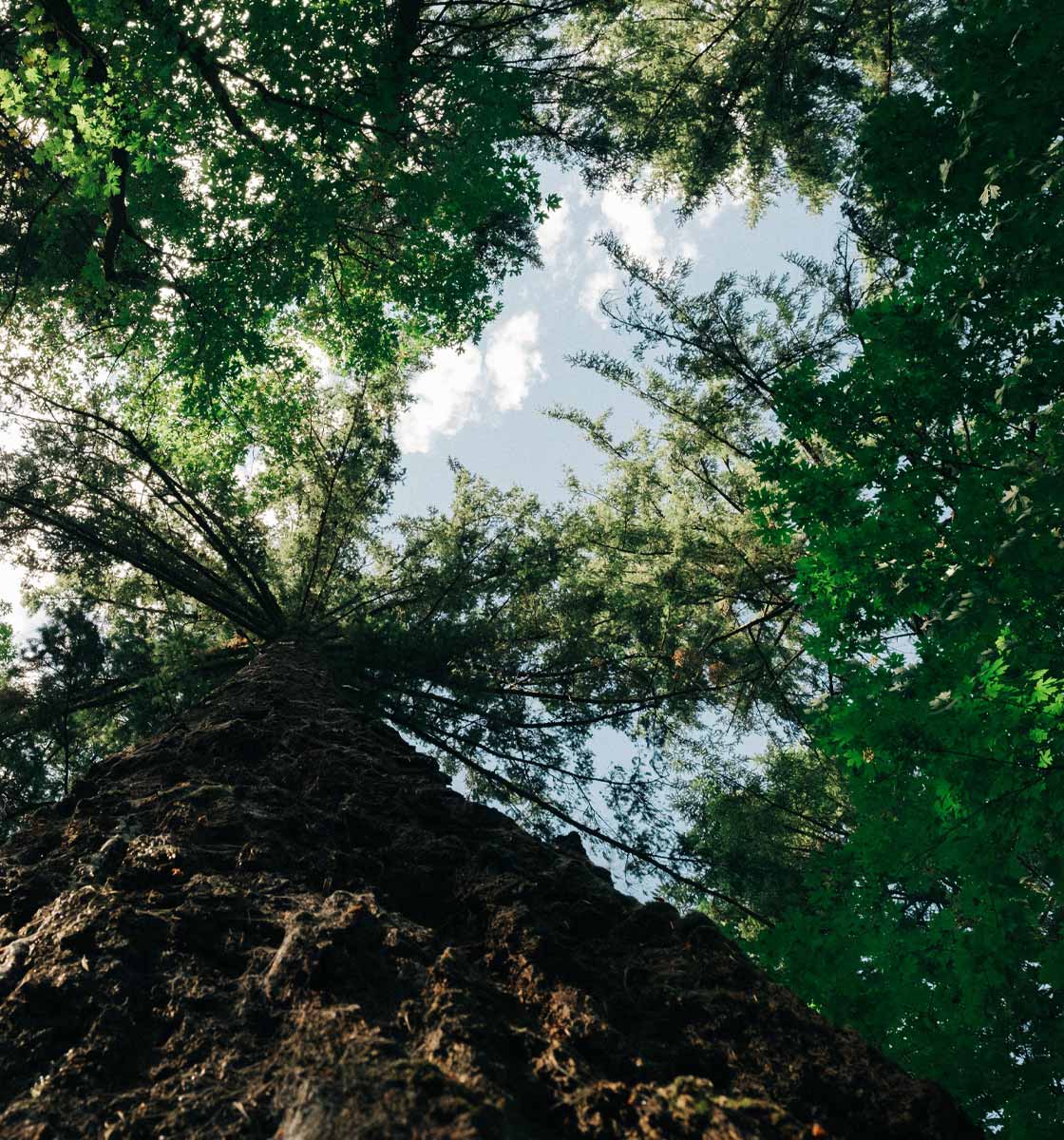 Nachhaltiges Holzspielzeug - Made in Germany
