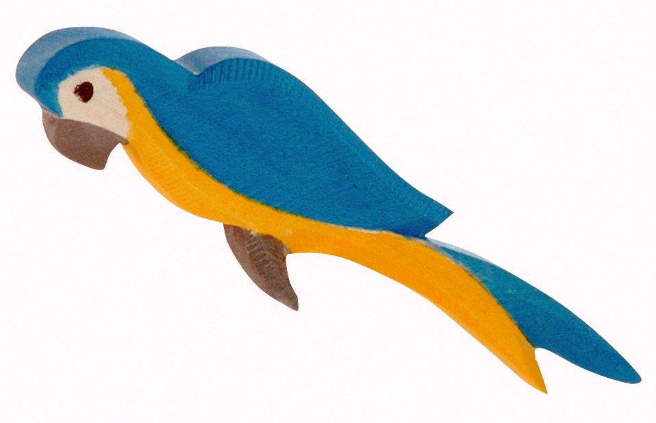 Papagei blau