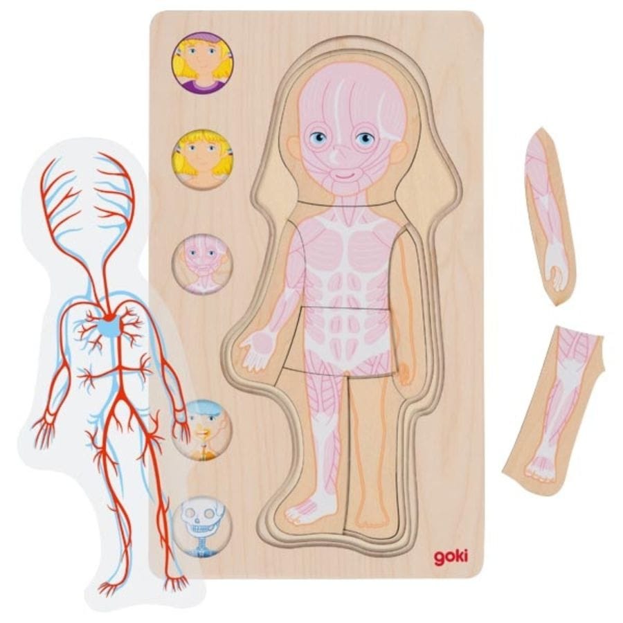 Goki Puzzle Goki Schichtenpuzzle Menschlicher Körper – 5-lagig aus Holz, ab 4 Jahre