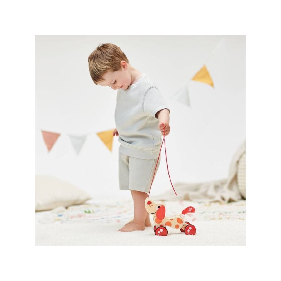 Hape Nachzieh-Spielzeug Hape Nachziehspielzeug Hündchen Pepe – ab 12 Monate