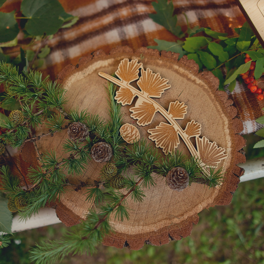 Lernpuzzle aus Holz "Bäume, Blätter und Samen"