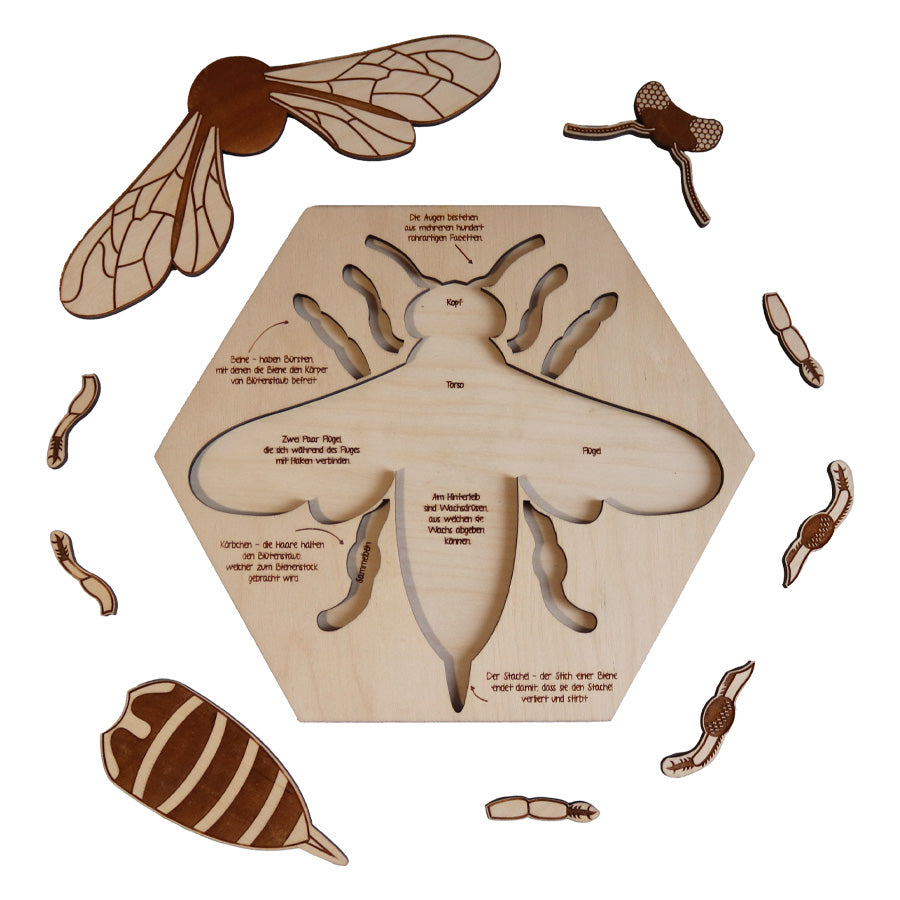 Holzpuzzle Biene für Kindergarten und Schulkinder