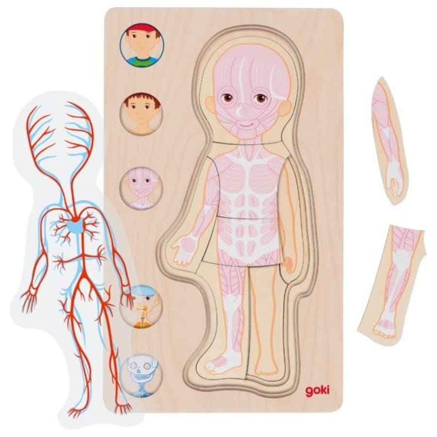 Goki Puzzle goki Schichtenpuzzle Junge – Anatomie Lernspiel ab 4 Jahre