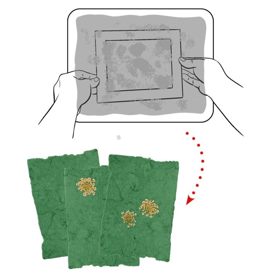 Papier schöpfen Nature zoom