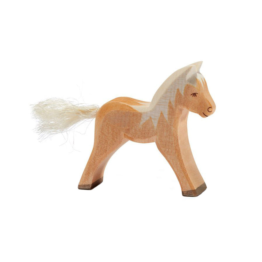 Haflinger Fohlen Ostheimer 11115
