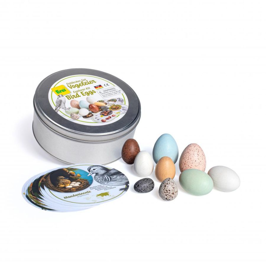 Erzi Entdecker-Set Vogeleier – 19-teiliges Lernspiel aus Holz ab 4 Jahren